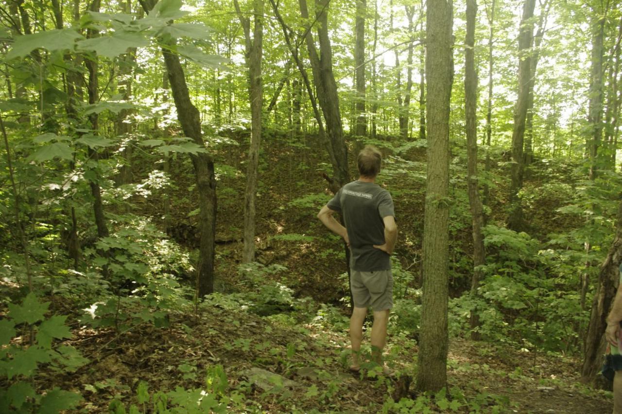 Gite Au Pied Des Appalaches Sainte-Sophie-D'Halifax Kültér fotó