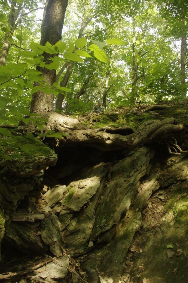 Gite Au Pied Des Appalaches Sainte-Sophie-D'Halifax Kültér fotó